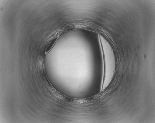 X0000059060329200510070833