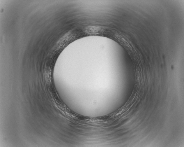 X0000059060332200510070833