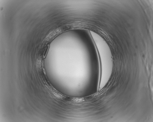 X0000059060333200510070833