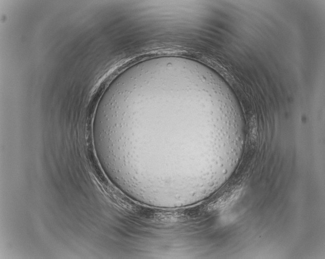 X0000059060351200510070832