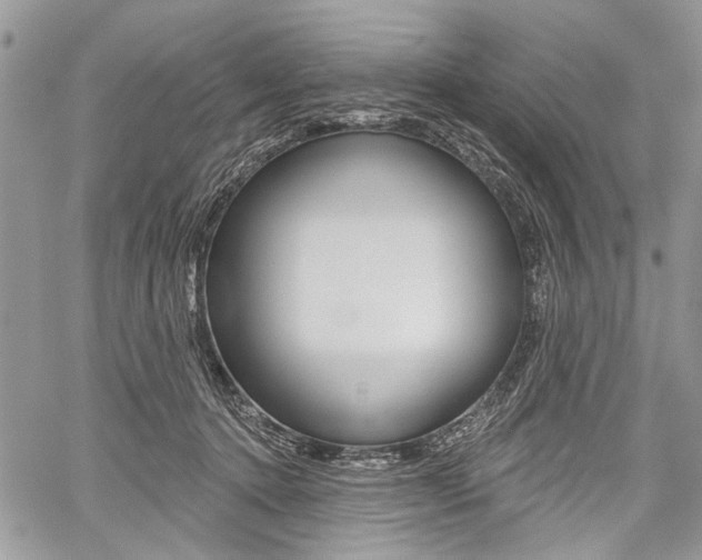 X0000059060368200510070833