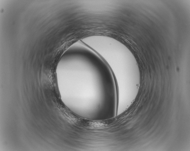 X0000059060380200510070833