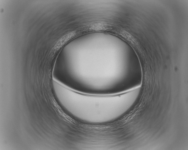 X0000059060393200510070832