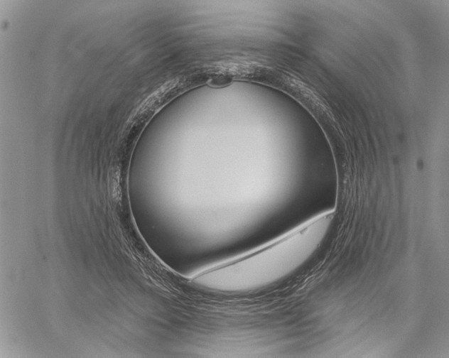 X0000059060403200510070832