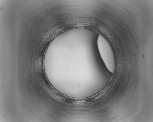 X0000059060410200510070832