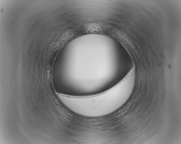 X0000059060417200510070832