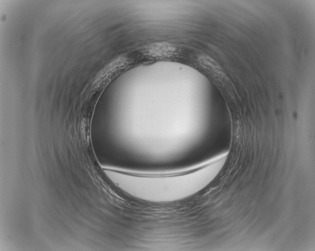X0000059060428200510070831