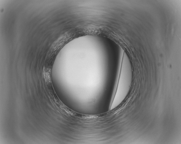 X0000059060432200510070831