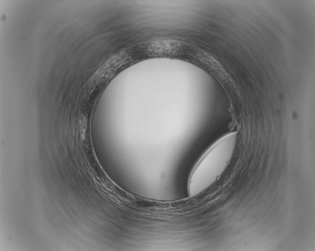 X0000059060458200510070831
