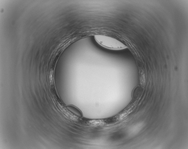 X0000059060477200510070831