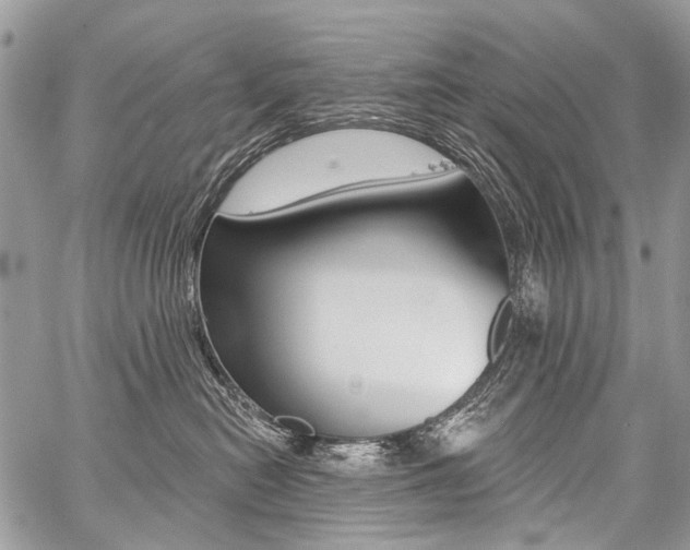 X0000059060478200510070831