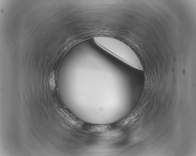 X0000059060479200510070831