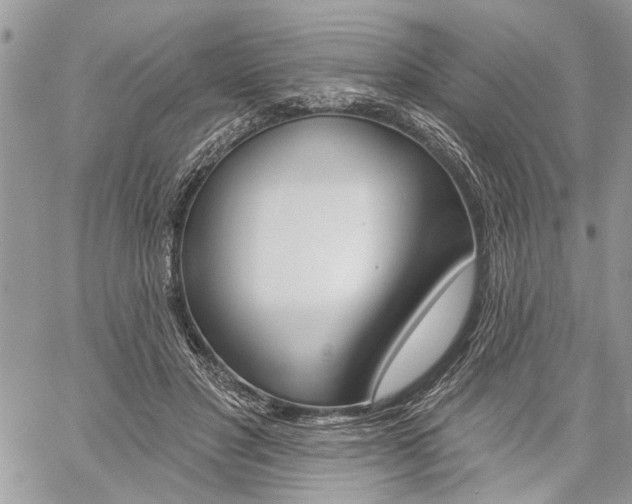 X0000059060501200510070830