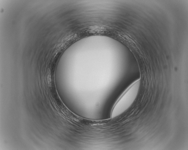 X0000059060508200510070830