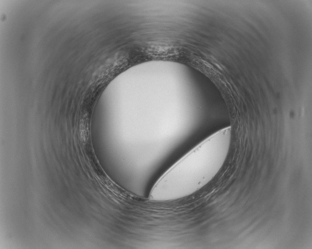 X0000059060515200510070830