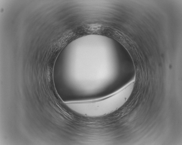X0000059060562200510070829