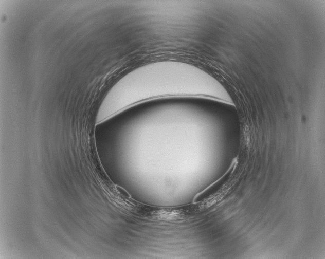X0000059060570200510070830