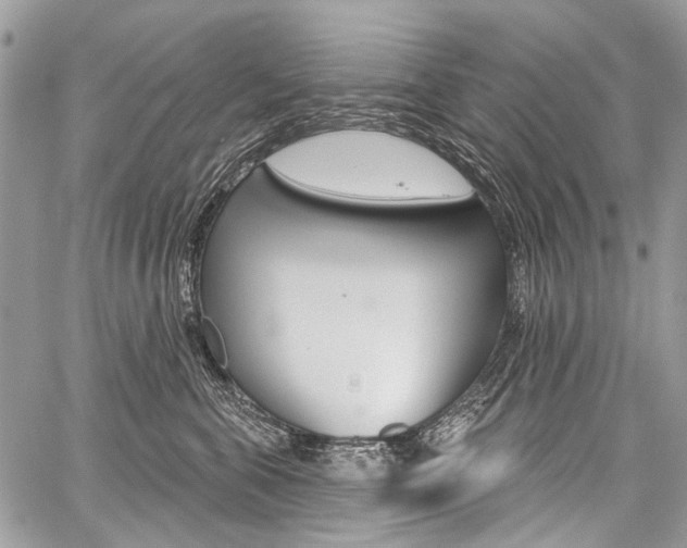 X0000059060571200510070830
