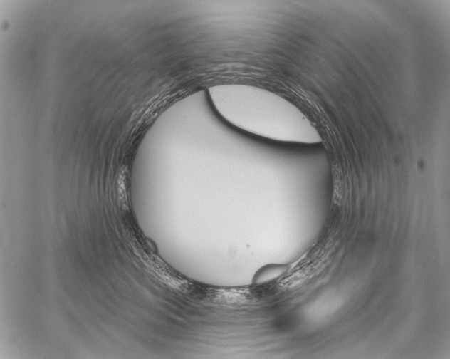 X0000059060573200510070830