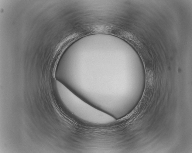 X0000059060587200510070829