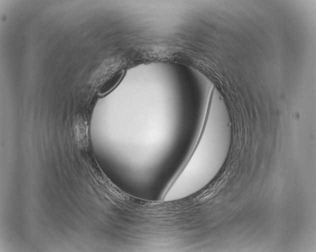 X0000059060624200510070828
