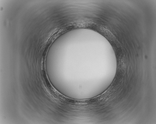 X0000059060694200510070827