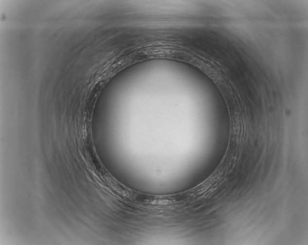 X0000059060751200510070826