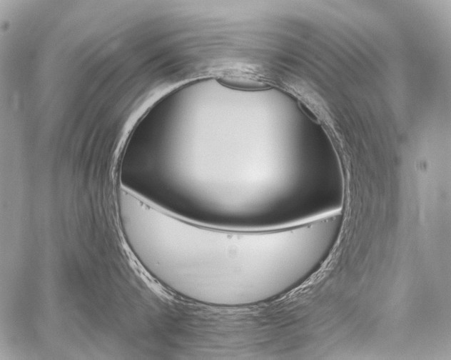 X0000059060816200510070825