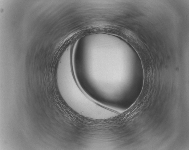 X0000059060822200510070824