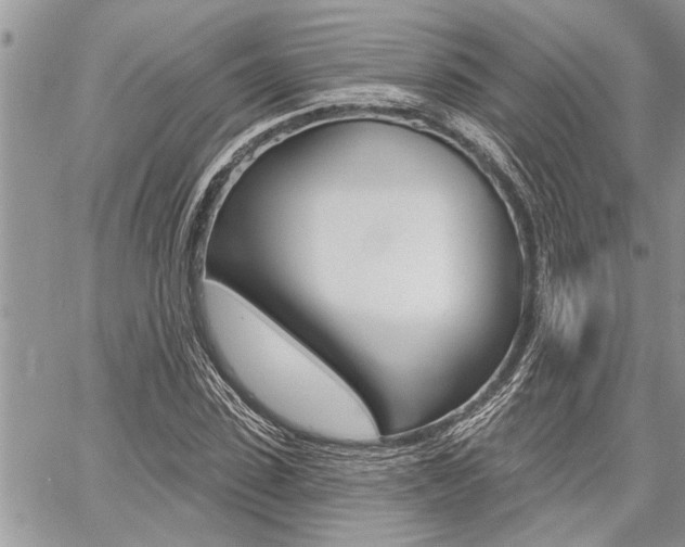 X0000059060923200510070823