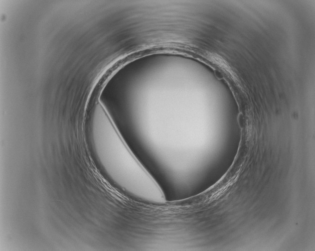 X0000059060924200510070823