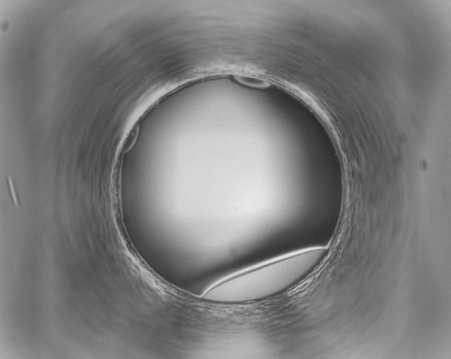 X0000059061056200510070822