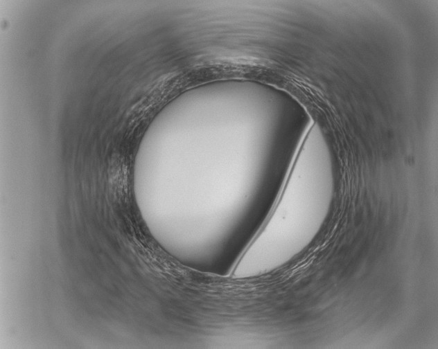 X0000059061061200510070821
