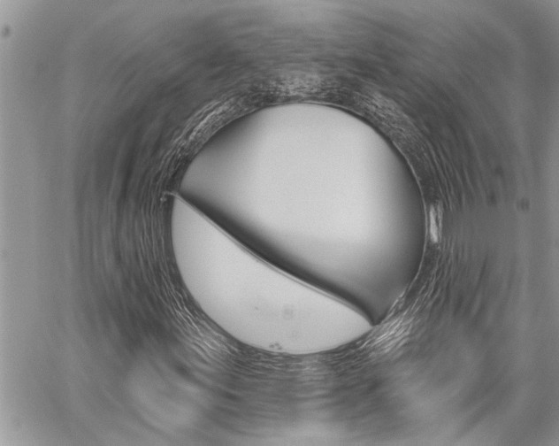 X0000059061155200510070819