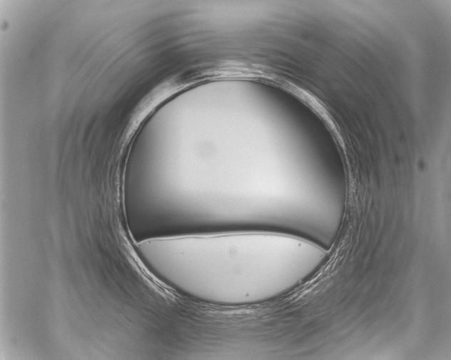 X0000059061195200510070818