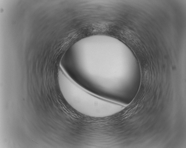 X0000059061250200510070818