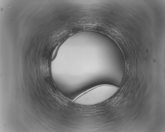 X0000059061252200510070818