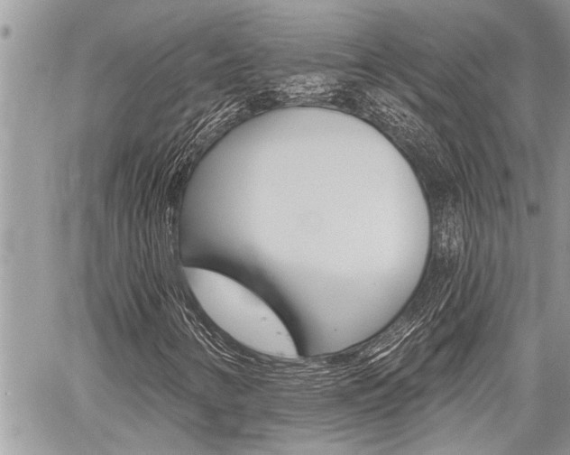 X0000059061346200510070816