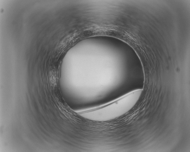 X0000059061348200510070816