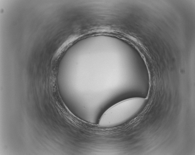 X0000059061359200510070816