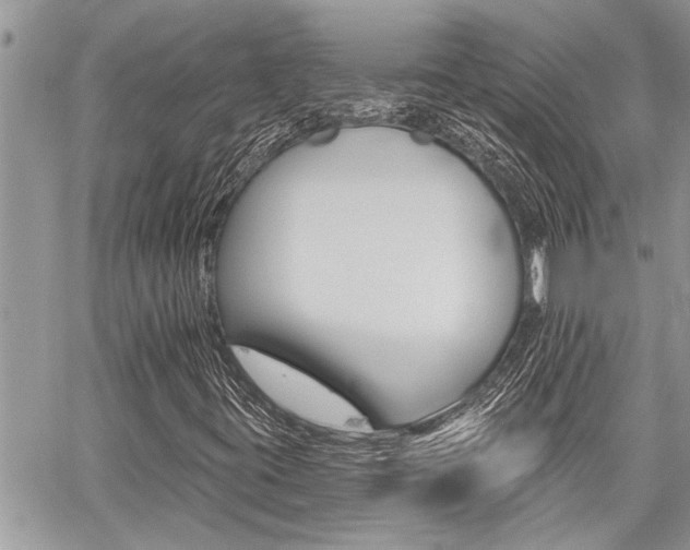 X0000059061395200510070814