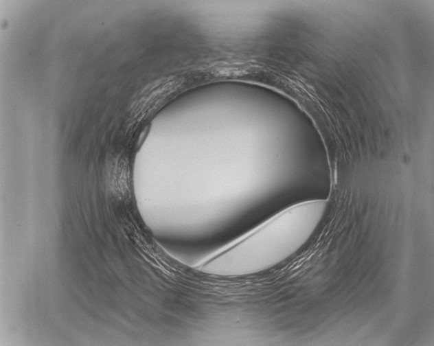 X0000059061444200510070814