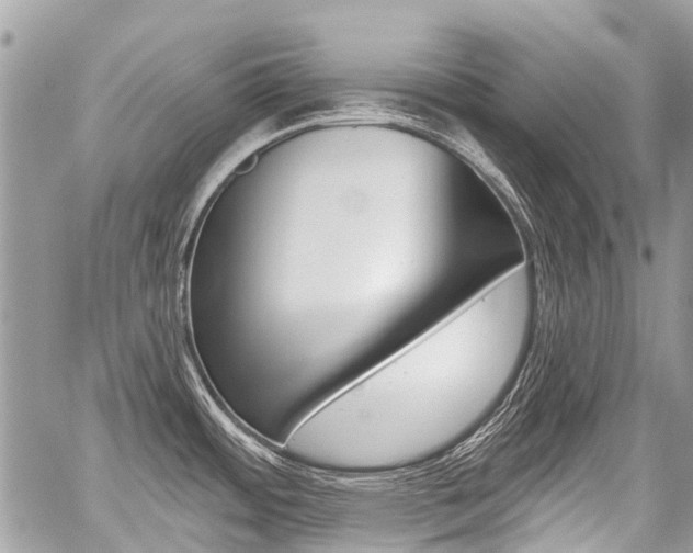 X0000059061484200510070814