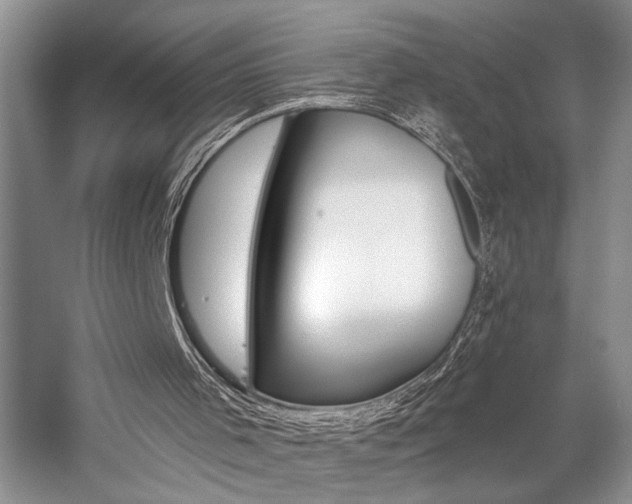 X0000059060001200510071054