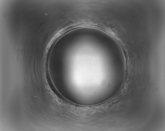 X0000059060007200510071054