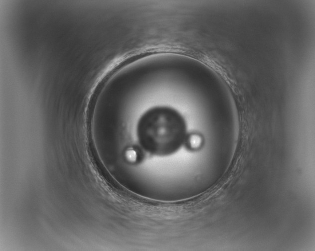 X0000059060008200510071054