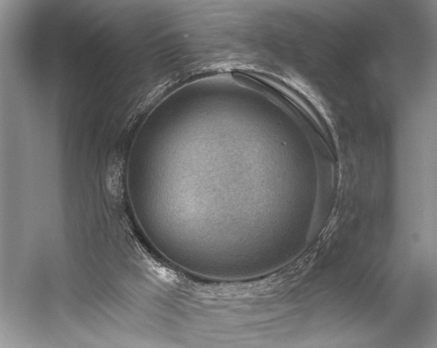 X0000059060009200510071054