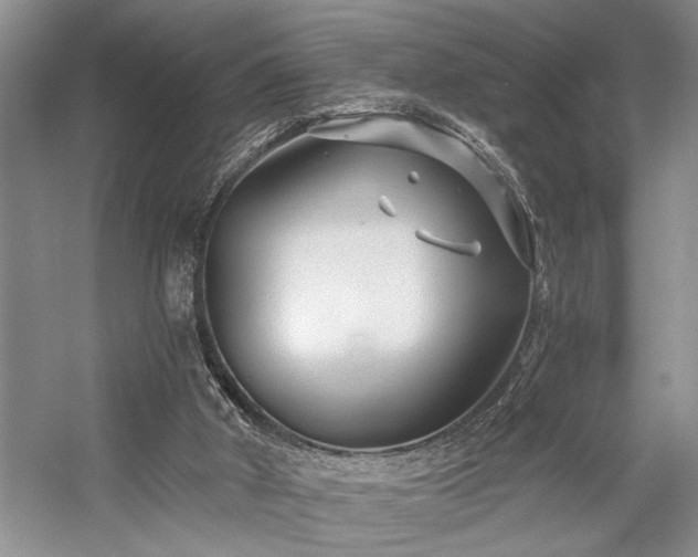 X0000059060010200510071054