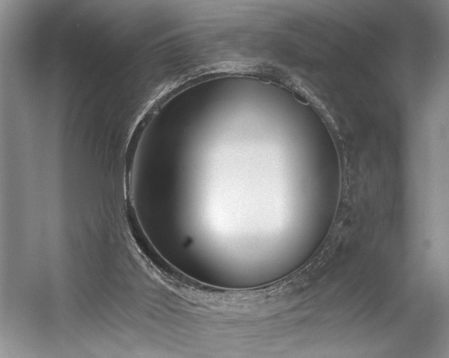 X0000059060011200510071054