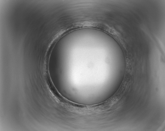 X0000059060012200510071054